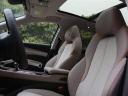 
										BYD Yuan PLUS Champion Transcendence Edition full									