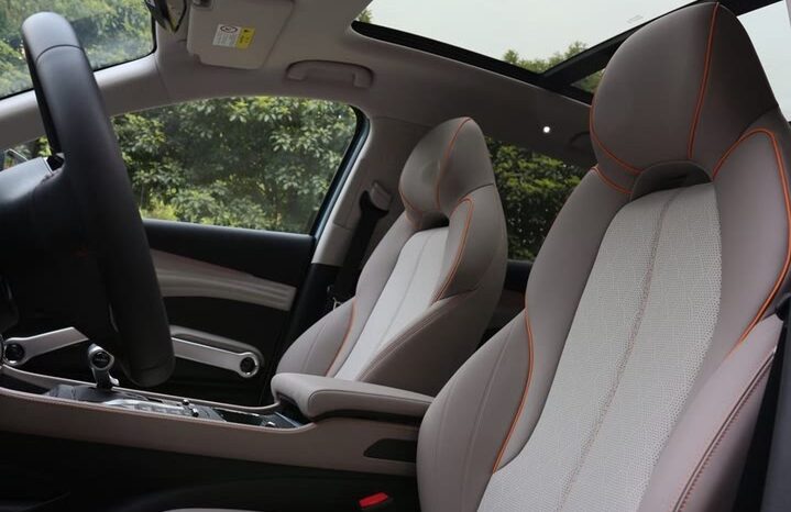 
								BYD Yuan PLUS Champion Transcendence Edition full									