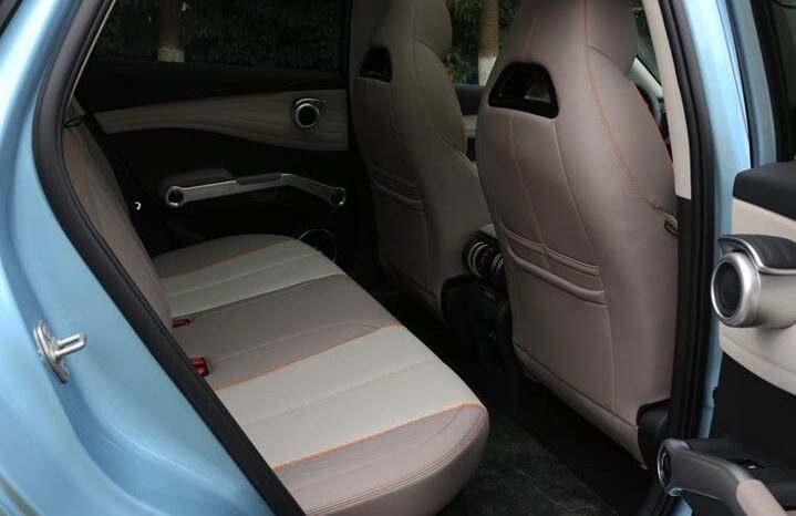 
								BYD Yuan PLUS Champion Transcendence Edition full									