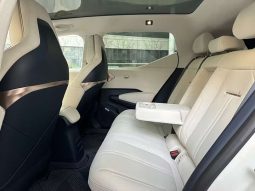 
										ZEEKR X 5-Seat Long-Range Version full									